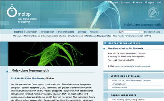 Homepage für das Max-Planck-Institut für Biophysik